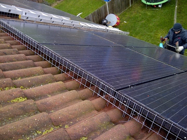 Pigeon Control 🕊️ in Kent Bird Proofing ️ Kent Bird Pest Control 🏘️