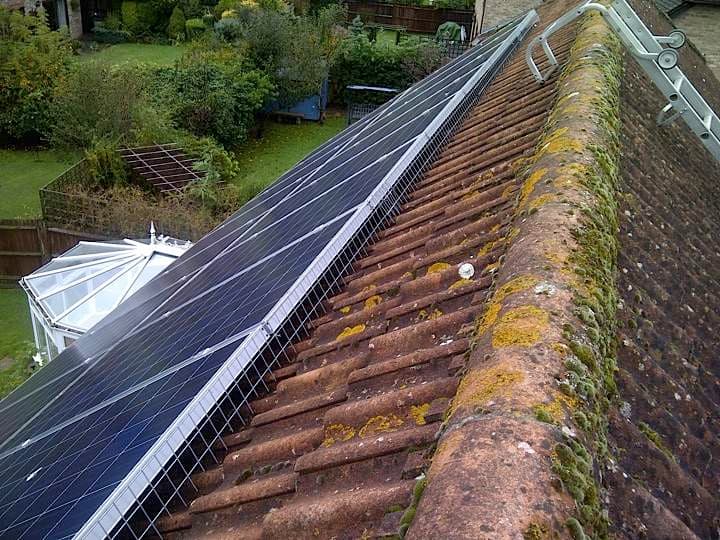 Pigeon Control in London Bird Proofing London Bird Pest Control London